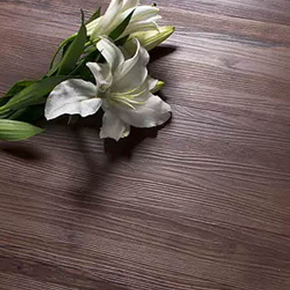 Ecolay LVT 1713