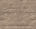 529019_0