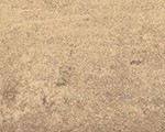 533007_PL0