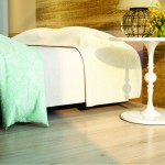 CARVALHO AMERINO (AMBIENTE)