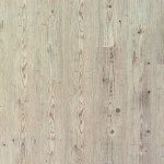 Canadian_Pine (1)