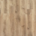 Chestnut_Oak