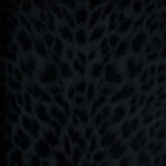 12020