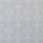 G67217