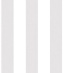 G67581