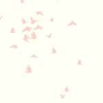 PAG-80_DW2332